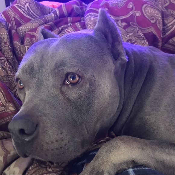 Meet your Posher, James - Picture 1 of 1